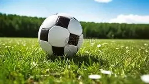 “上海F1大奖赛激情上演，产业协同共铸辉煌——人民日报海外版报道”